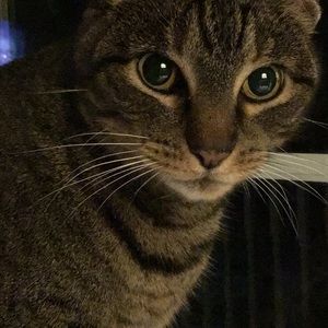 Meet your Posher, Dana